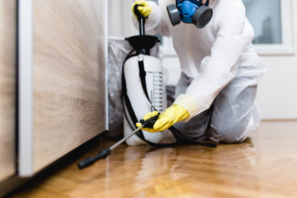 Best Pest Control Near Me in Saunders Lake, OR