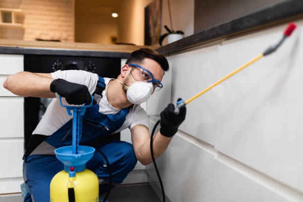 Best Cockroach Control Services  in Saunders Lake, OR