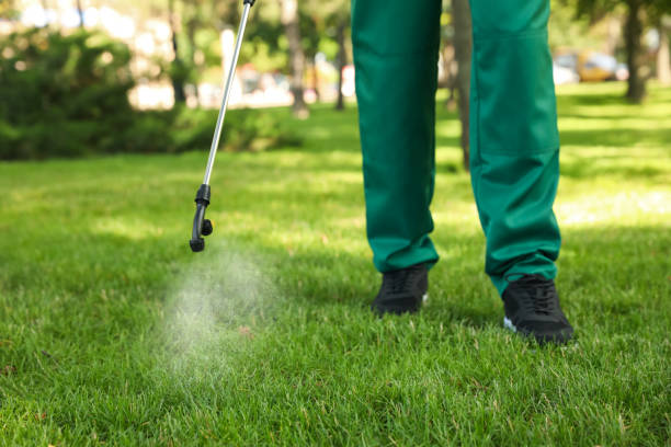 Best Affordable Pest Control Services  in Saunders Lake, OR