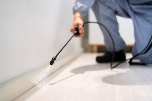 Best Best Pest Control Companies  in Saunders Lake, OR