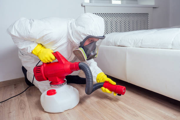 Best Ant Control Services  in Saunders Lake, OR