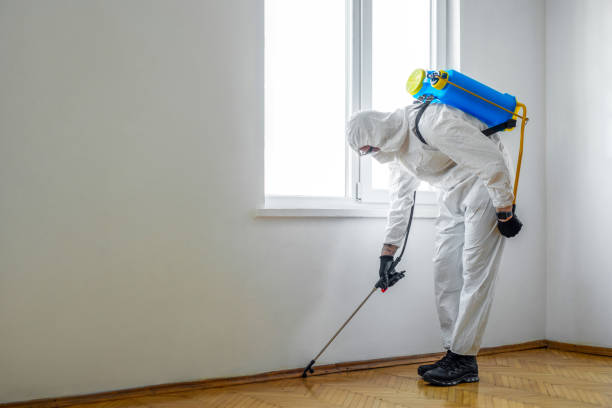 Best Best Pest Control Companies  in Saunders Lake, OR