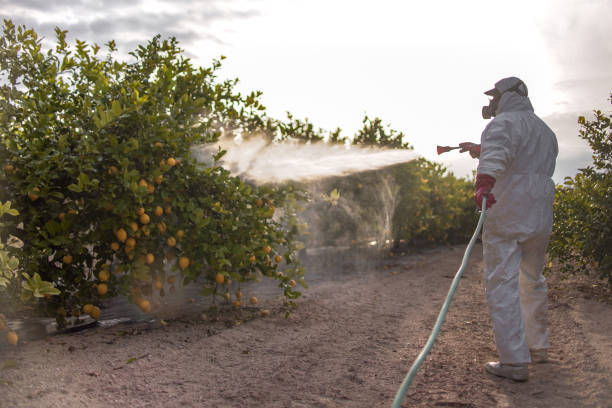  Saunders Lake, OR Pest Control Pros