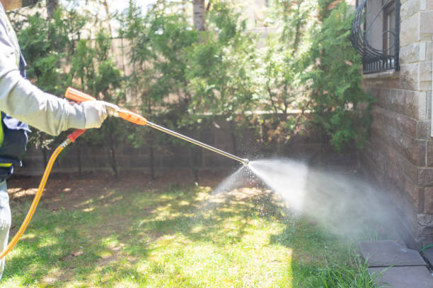 Best Rat Extermination Near Me  in Saunders Lake, OR