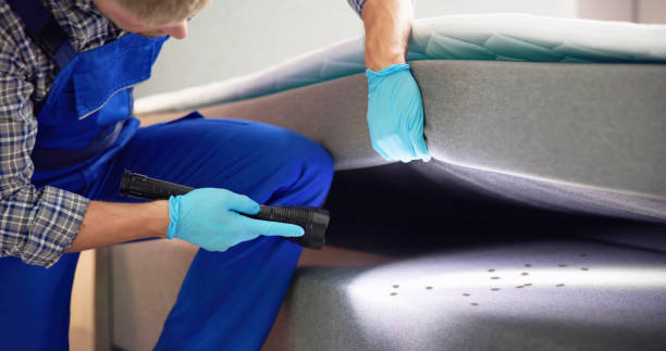 Best Flea Control Services  in Saunders Lake, OR