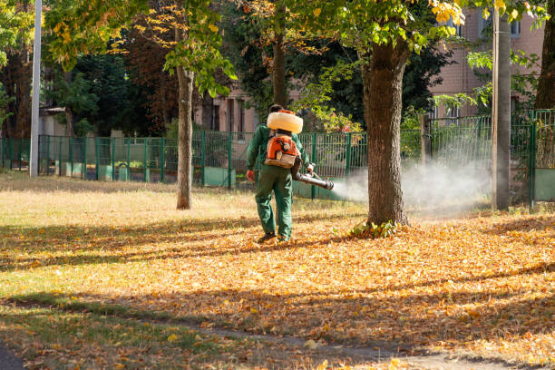 Best Rodent Control Near Me  in Saunders Lake, OR