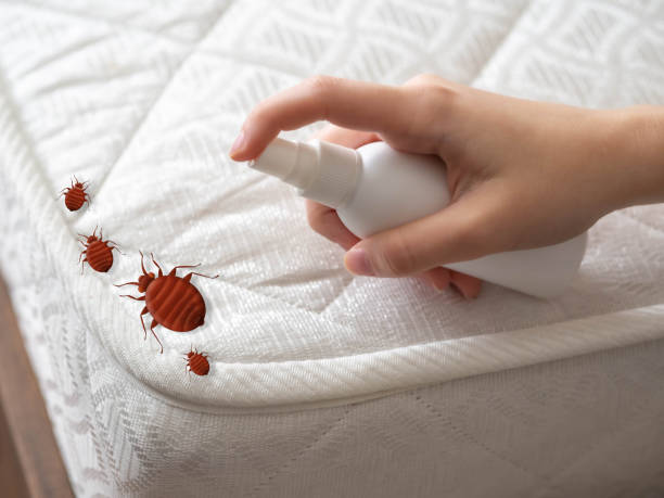 Best Exterminator Services  in Saunders Lake, OR