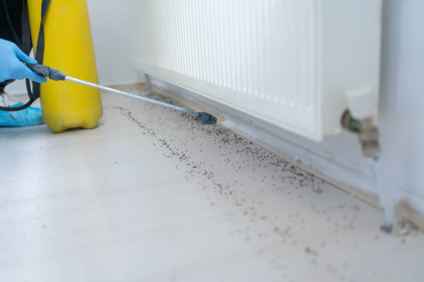 Best Pest Prevention Services  in Saunders Lake, OR